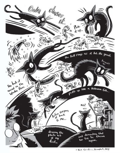 A comic about Oola the Black Cat playing with her favorite toy: a frayed plastic nub from a destroyed fishing line toy. 