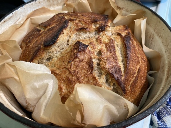 A very crunchy bread round in a cast iron dutch oven. The top has scorch marks, and has ripped open from inner steam. 