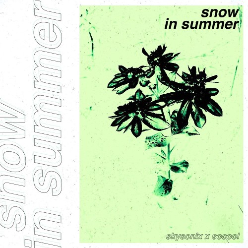 “Snow In Summer” EP artwork, featuring a Euphorbia Marginata wildflower (aka “Snow In Summer” or “Snow On The Mountain”), in a black/green filter, over a fresh green background. 