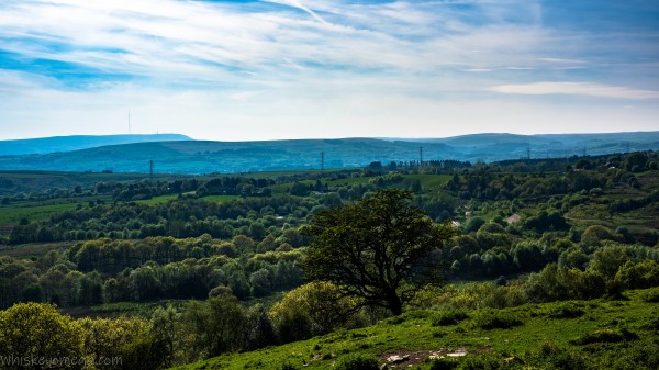 A Old tree sits with its tangled branches over looking green land full of tree tops in the valley and a mains pylon system going across with hills behind it and then a TV mast and other masts sit on Winter hill in the left background. 