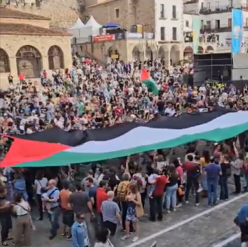 Huge crowd holding a gigantic Palestnian flag between them