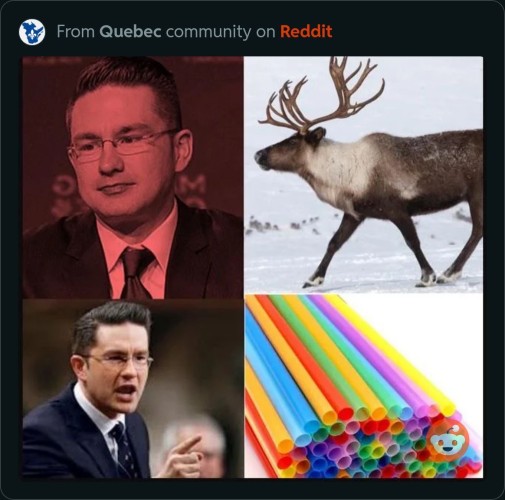 Original pic said "priorities" and shows a picture of an indifferent Poilievre next to a picture of a caribou and getting excited next to a picture of plastic straws 