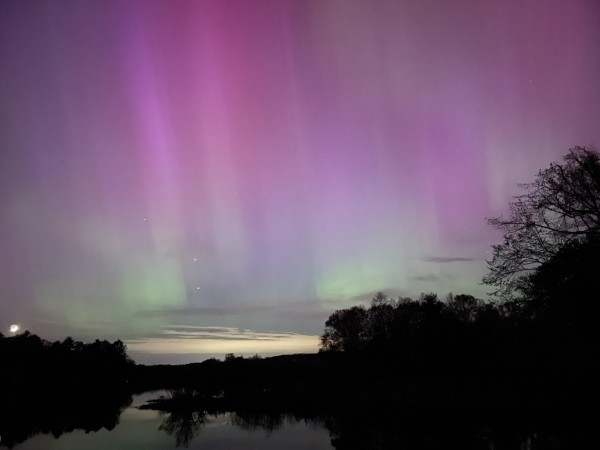Aurora borealis (Northern Lights) with vivid purple and green colors in the night sky over a calm body of water with a silhouette of trees and a sliver of the moon visible.