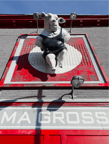 The image depicts a three-dimensional sculpture of a pig, dressed in a sailor's outfit, perched above a red and white sign on the facade of a building. The pig is mostly white, with some shading and accents that create a realistic appearance, and it is positioned as though sitting with its legs dangling over the edge. The pig has a playful expression, with large ears and a prominent snout.

The photograph has been manipulated so that the pig and the sign are in color, while the surrounding elements like the brick wall and the streetlights above the pig are in grayscale. The contrast between the colorful subject and the desaturated background emphasizes the sculpture and the sign. The image is sharp, with a focus on the texture of the bricks and the details of the sculpture. The angle of the shot is from below, which gives the pig a prominent position in the frame and adds to the impression that it is looking down at the viewer.