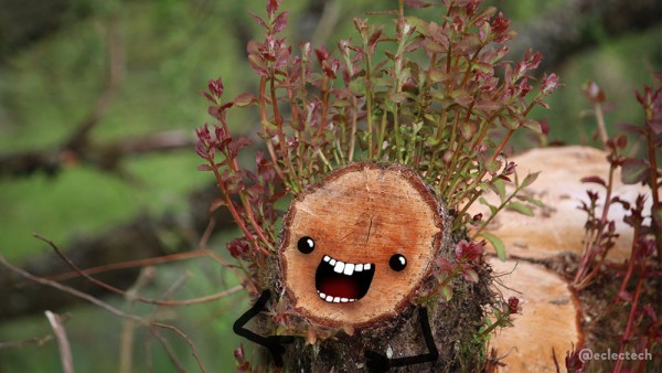 A photo of a tree that was chopped down after becoming unsafe during storms last winter. The main, large stump is out of focus in the background, and in focus is a thick offshoot from it, also chopped. I have drawn a happy face on the stump, and there is lots of new leaf growth shooting up from it, like wild hair.