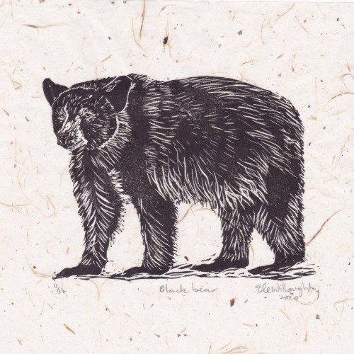 my Black bear linocut on translucent washi paper with bark inclusions.  It’s viewed from the side, standing.