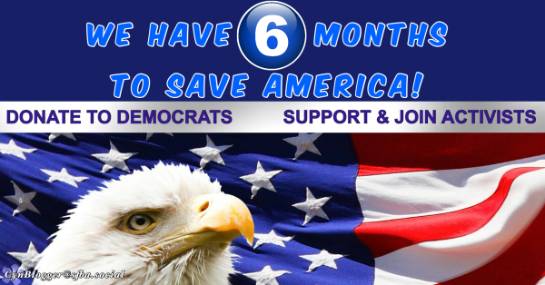 Meme: dark blue background with an American flag & eagle at the bottom. Text in blue reads, “We have 6 months to save America. Donate to Democrats.  Support & join activists. 