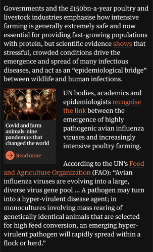 From the linked article by John Vidal on October 18, 2021:

Governments and the £150bn-a-year poultry and livestock industries emphasise how intensive farming is generally extremely safe and now essential for providing fast-growing populations with protein, but scientific evidence shows that stressful, crowded conditions drive the emergence and spread of many infectious diseases, and act as an “epidemiological bridge” between wildlife and human infections.

UN bodies, academics and epidemiologists recognise the link between the emergence of highly pathogenic avian influenza viruses and increasingly intensive poultry farming.

According to the UN’s Food and Agriculture Organization (FAO): “Avian influenza viruses are evolving into a large, diverse virus gene pool … A pathogen may turn into a hyper-virulent disease agent; in monocultures involving mass rearing of genetically identical animals that are selected for high feed conversion, an emerging hyper-virulent pathogen will rapidly spread within a flock or herd.”