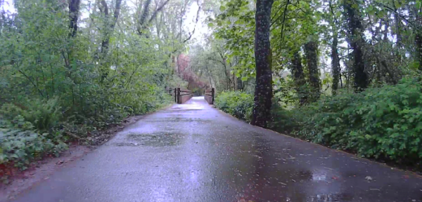 Fanno Creek Trail, a short segment that connects to traffic Engineered hell on both ends so they can be sure that biking stays recreational instead of replacing car trips