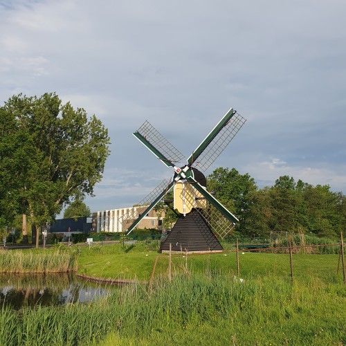 A small Dutch windmill, behind it a big school building, in the front green grass and water. 
