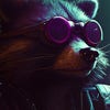 moon_raccoon avatar