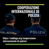 @Coop_internazionale_di_Polizia@poliversity.it avatar