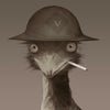 Emu avatar