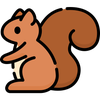 squirrels@lemmy.ca avatar
