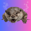 otters@lemmy.world avatar