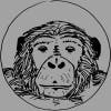 @Bonobo@digitalcourage.social avatar