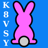 @k8vsy@mastodon.radio avatar