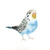PetBirds avatar