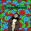 TranquilMarmot avatar