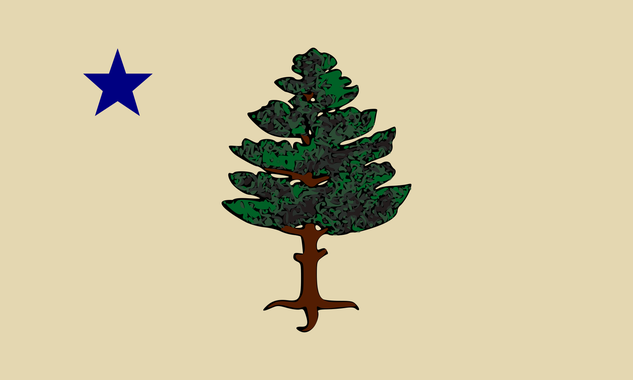 The flag used by Maine from 1901–1909.