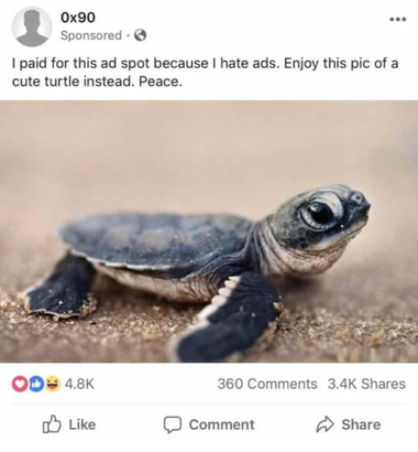A screenshot of a sponsored post on Facebook. The post consists of an image of an adorable baby turtle, prefaced with the user, 0x90, saying "I paid for this ad spot because I hate ads. Enjoy this pic of a cute turtle instead. Peace." The post has 360 comments, 3,400 shares, and 4,800 love, like, and laugh reactions.
