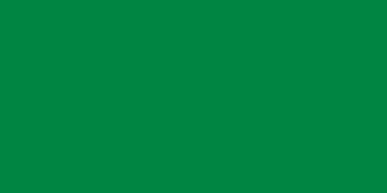The flag of Libya from 1977 to 2011. Literally just a 2x1 rectangle.