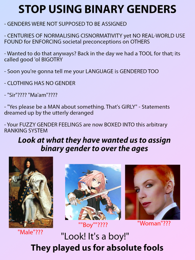 A meme, transcription follows.

STOP USING BINARY GENDER

- Genders were not supposed to be assigned.

- Centuries of normalising cisnormativity, yet no real-world use found for enforcing societal preconceptions on others.

- Wanted to do that anyways? back in the day we had a tool for that; its called good ol' BIGOTRY.

- Soon you're gonna tell me your LANGUAGE is GENDERED TOO

- CLOTHING HAS NO GENDER

- "Sir"??? "Ma'am"???

- "Yes please be a MAN about something. That's GIRLY" - Statements dreamed up by the utterly deranged.

- Your FUZZY GENDER FEELINGS are now BOXED INTO this arbitrary RANKING SYSTEM

Look at what they have wanted us to assign binary gender to over the ages.

(What follows is three pictures, the first one is Louis the 14th of france, with makeup, a wig, and dainty shoes and pants. The second one is astolfo, a rather feminine-looking fellow with pink hair. The last one is Annie Lennox from the Eurythmics, who looks rather androgynous.)

"Male"??? "Boy"??? "Woman"???

"Look! It's a boy!"

They played us for absolute fools.