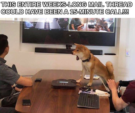 The typical meme of what looks like a work meeting in which there is a dog on the table barking angrily and which usually has a text that says "THIS ENTIRE MEETING COULD HAVE BEEN AN EMAIL!!!" but this time it says "THIS ENTIRE WEEKS-LONG MAIL THREAD COULD HAVE BEEN A 15-MINUTE CALL!!!"