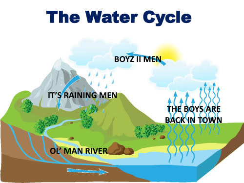 The Water Cycle:  
Rain = IT'S RAINING MEN 
River flowing to ocean = OL' MAN RIVER 
Water evaporating from ocean to cloud = THE BOYS ARE BACK IN TOWN 
Clouds becoming rain = BOYZ II MEN
Repeat. 