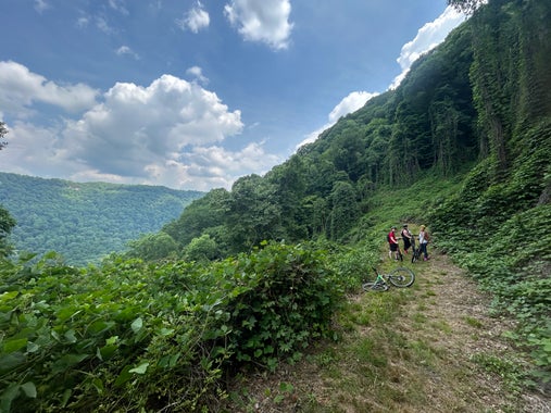 Media Description Three people on mountain bikes standing in a massive gorge beneath a clear blue sky. The gorge is on one side of the riders, a thick, wooded valley and the other side is a very tall, like enormous, wall of trees covered in kudzu.