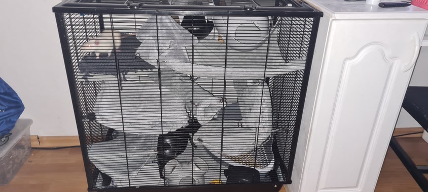 a rat cage with grey, homemade hammocks.