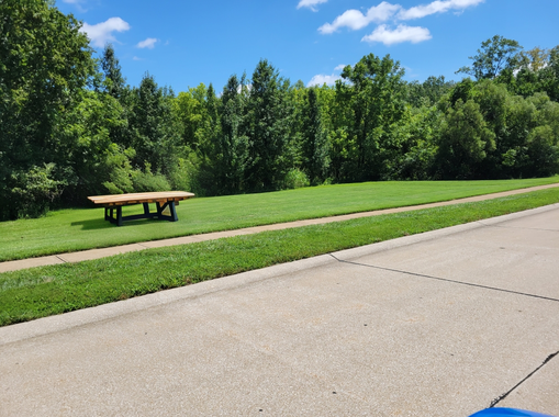 A lush green lawn with a stand of trees behind it, street in the foreground. A picnic table has been added to the image using Stable Diffusion.
