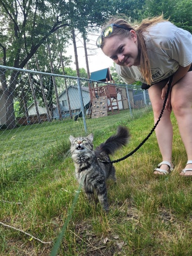A smokey grey long haired cat in a black harness looking awestruck with its mouth agape, as the human handler behind gives a gentle smile