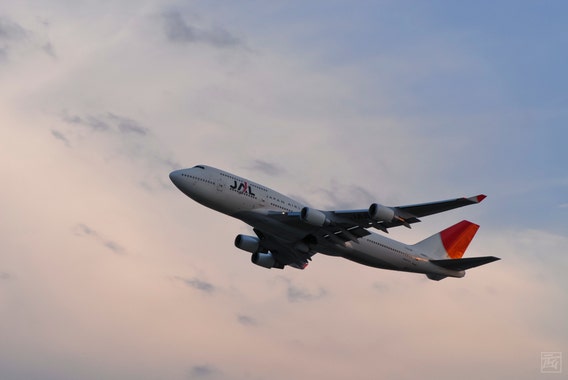 JAL 747 taking off at sunset