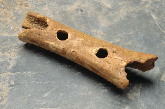 image of the instrument, a short thick yellowed bone with 2 pierced holes