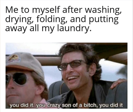 Top text: Me to myself after wasking, drying, and putting away all my laundry. Jeff Goldblum: "You did it. You crazy son of a bitch, you did it"