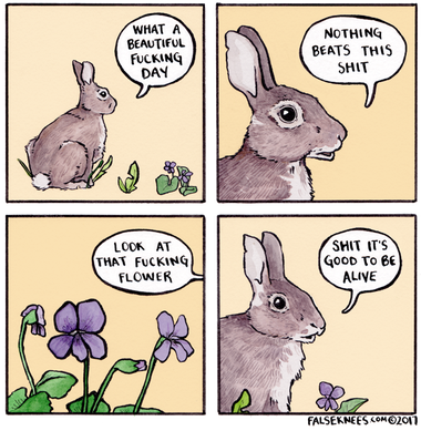 A rabbit’s inner monologue as it observes nearby nature and flowers. It says: “What a beautiful fucking day. Nothing beats this shit. Look at this fucking flower. Shit, it’s good to be alive.” Copyright 2017, FalseKnees.com. Meme poster note: FalseKnees, like XKCD, uses alt text in a way similar to spoilers for narrative effect. Alt text on FalseKnees.com may not fully represent the original comic’s content.
