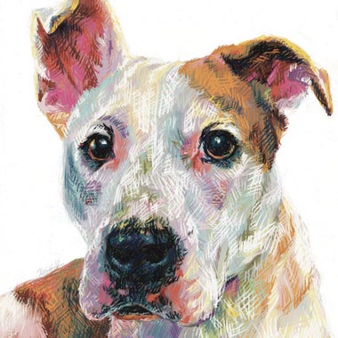 Colorful crosshatch drawing of a white dog with brown spots