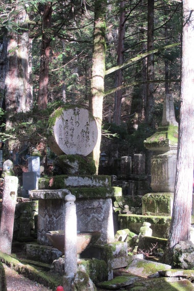 A photo of old and new Japanese graves, covered in moss, and lichen in between cedar trees. Some of the graves have toppled from the roots growing underneath, some are too worn from rain and lichen to read.