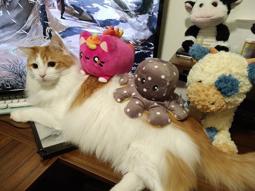 Large fluffy cat with a reversible octopus plushie and a cat plushie laying on him. Plus a cow plushie in the back.