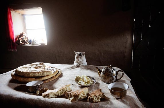 Image Transcription:  [ A large table laid with rustic-looking breads and an ornate tea set is interrupted by the unexpected presence of a curious cat. The table covered with an undyed rough canvas-like table cloth and upon it lays broken pieces of fine white bread torn from unusually-shaped loaves in the background: Wide, flat, and disk-like but absolutely massive, as wide as seat cushions. They have decorative stamped impressions on them of saucer-sized spirals, making them look quite fancy. Some bread chunks are on a plate that matches the fancy tea set, other chunks rest directly on the cream-colored tablecloth in the foreground. There are two teacups, partially filled with tea, with their matching teapot slightly farther away from us. It is white porcelain with large gold flourishes painted on it with smaller black details-- An oddly expensive looking detail when compared to the rustic look of the room with uneven mud-colored stucco walls that are bare save for a window where blindingly bright morning light pours in, with rustic-looking clutter on the windowsill and the faint outline of a door on the opposite side. Surveying the scene is a white cat with black spots, it’s front paws cheekily resting on the tablecloth so we can only see it’s head, chest and paws peeking up from it’s hiding place. It’s expression seems unimpressed by the grand spread of food, but one paw is stretched slightly forward and tensed, and it’s eyes are fixated on the bread loaves, leaving the distinct impression that the cat does not intend to remain a passive observer much longer. ]