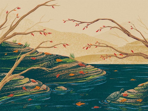 Landscape featuring a turtle in a pond with rocks on either side and fall colors