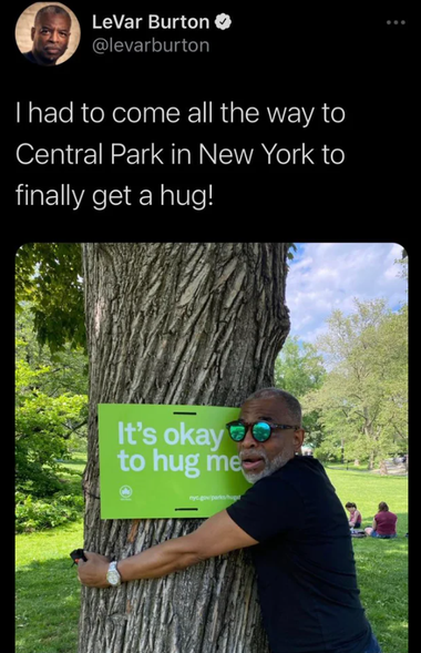 A photo of LeVar Burton in rad sunglasses hugging a tree that has a sign on it reading "It's okay to hug me". The caption reads, "I had to come all the way to Central Park in New York to finally get a hug!"