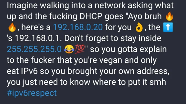 Transcription: Imagine walking into a network asking what up and the fucking DHCP goes “Ayo bruh 🔥🔥, here’s a 192.168.0.20 for you 👌, the ⬆️’s 192.168.0.1. Don’t forget to stay inside 255.255.255.0 😂💯” so you gotta explain your the fucker that you’re vegan and only eat IPv6 so you brought your own address, you just need to know where to put it smh #ipv6respect