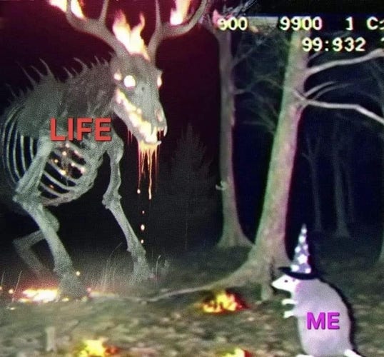 A scene in a forest with a skeletal giant monster deer- its head is on fire with flames erupting from its mouth and shooting up from its antlers.
In front of it is a possum in a sorcerer's hat.

The text on the "deer" says "LIFE"
The text on the possum says "ME"
