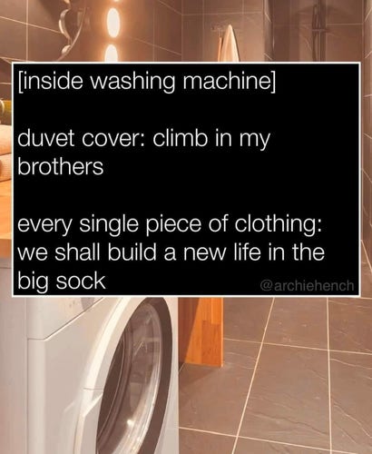 [inside washing machine]
duvet cover: climb in my brothers
every single piece of clothing: we shall build a new life in the big sock