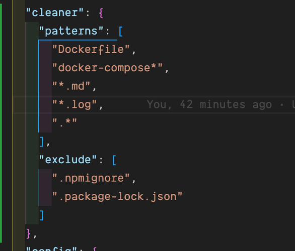 A screenshot of the cleaner patterns and excludes, such as Dockerfile and dot files