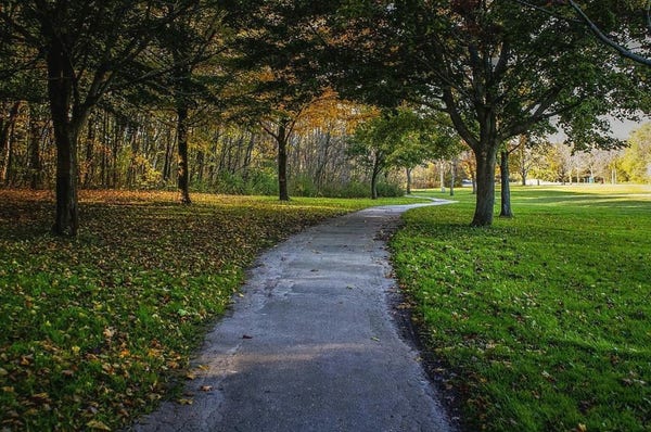 Photograph of a curving paved path in Grant Park, Milwaukee, lined with trees displaying early autumn colors and fallen leaves, creating a serene and inviting scene.  Image at:  https://beautifulsunphotography.com/featured/walk-in-grant-park-deb-beausoleil.html  See more art & blog at: https://beautifulsunphotography.com/ https://debbeautifulsunphotography.com/ https://www.zazzle.com/store/beautifulsun_designs https://debbeausoleil.com