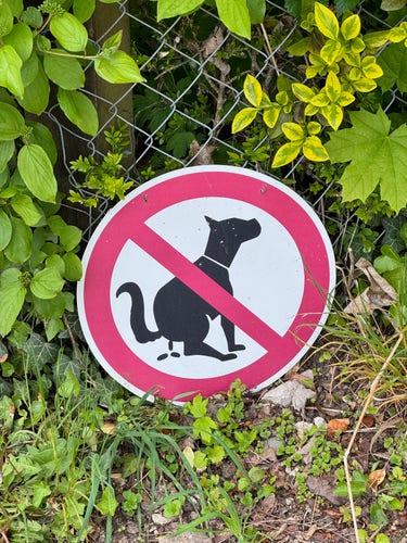 Ein Verbotsschild für scheissende Hunde.