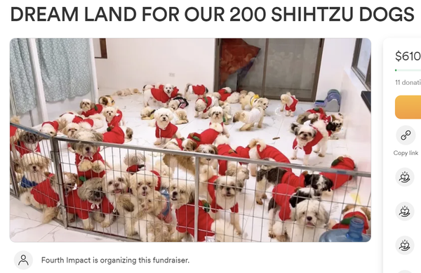 Gofundme page called DREAM LAND FOR OUR 200 SHIHTZU DOGS for 100 thousand dollars